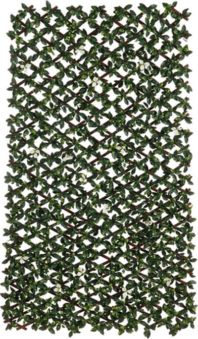 Mica Decorations Buxus Mat - 200 x 100 x 8cm - Groen