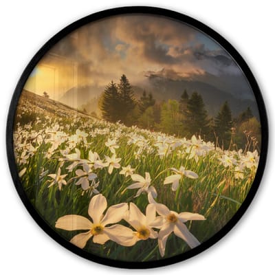 Poster in lijst Rond - Fotolijst 40x40 cm - Posters - Bloemenveld - Heuvels - Zonsondergang - Berg - Natuur - Wit - Heuvels - Ronde posterlijst zwart - Decoratie - Wanddecoratie woonkamer - Muurdecoratie slaapkamer