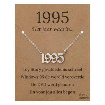 Jaartal 1995 Ketting op Cadeau Kaartje - Zilverkleurig Stainless Steel - 45cm - Met informatie over geboortejaar - Pax Amare