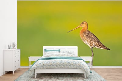 Behang - Fotobehang Vogel - Dieren - Grutto - Paal - Groen - Breedte 400 cm x hoogte 300 cm