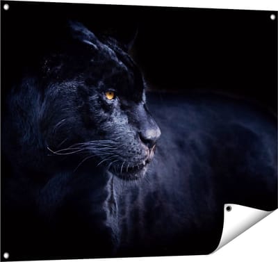 Gards Tuinposter Zwarte Panter - 100x80 cm - Tuindoek - Tuindecoratie - Wanddecoratie buiten - Tuinschilderij
