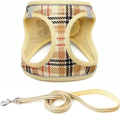 Famanu – Hondentuig voor kleine honden met riem - anti-trektuig Reflecterend ademend borsttuig - puppytuig voor kleine - middelgrote honden (Beige - L)