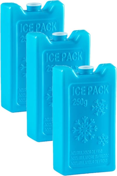 Plasticforte Koelelementen - 6x stuks - 250 grams - 13 x 7.5 cm - blauw - kunststof - voor koeltas en koelbox