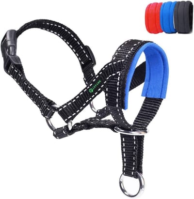 Reflecterende Hondenhalsband voor Comfort en Veiligheid - Verstelbaar en Duurzaam - Geschikt voor Kleine, Middelgrote en Grote Honden