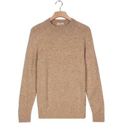 Thomas Maine Trui Crew Neck New England Donegal Merino Wool Beige / male
