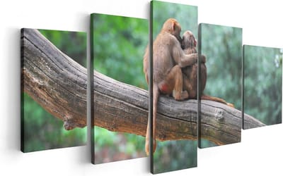 Artaza Canvas Schilderij Vijfluik Twee Apen Vrienden Op Een Tak In Een Boom - 100x50 - Foto Op Canvas - Canvas Print