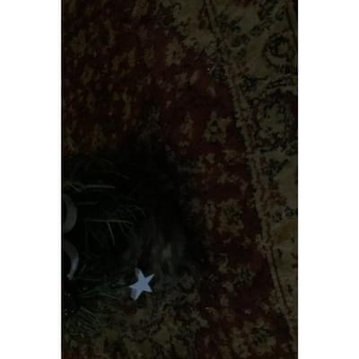 Mooie Kerstverhalen - Ans Linders