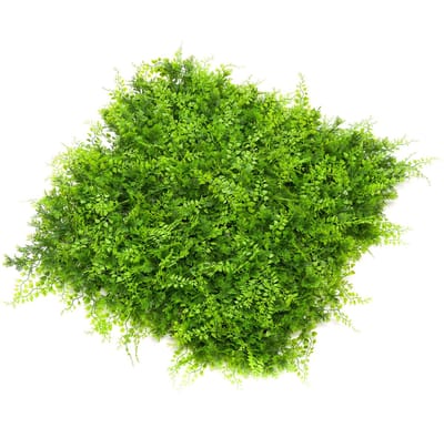 Emerald - Kunst Plantenwand Varen/juniperus UV 50x50cm - Kunstplant voor binnen