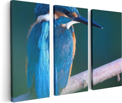 Artaza Canvas Schilderij Drieluik Blauwe IJsvogel Op Een Tak - 120x80 - Foto Op Canvas - Canvas Print