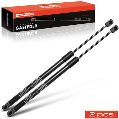Frankberg 2x gasveer demper achterklep voor MINI