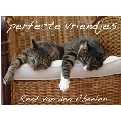 Perfecte Vriendjes - René van den Abeelen