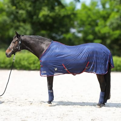 Paardenvliegendeken York Lyra