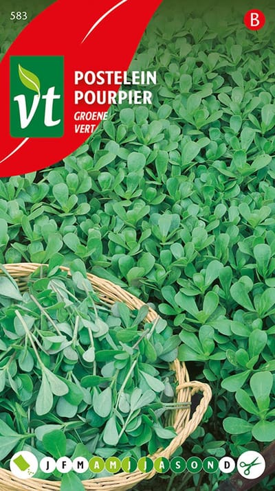 Postelein Groene Zaden - Malse en Vlezige Bladgroente voor Salades