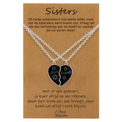 BFF Ketting voor 2 'Sisters' - Magnetisch Hartje - Vriendschapsketting op Cadeau Kaartje - 45cm + 5cm verstelbaar - Zilverkleurig - Best Friends Hanger - Pax Amare