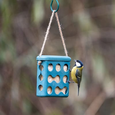 CJ Wildlife Vetblokhouder voor Vogels - Rome - Mezenbolhouder voor 1 Vetblok - Voederhuisje Hangend van Plantbased Materiaal - Blauw