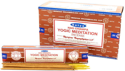 Satya Wierook - Yogische Meditatie