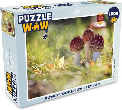 Puzzel Kleine paddenstoelen in een veld - Legpuzzel - Puzzel 1000 stukjes volwassenen