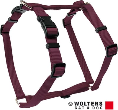 WOLTERS Cat & Dog Basic Harnas / Hondentuigje - Nylon - Brombeer - XL - Borstomtrek 75 - 100 cm (GELIEVE ALVORENS BESTELLEN OPMETEN)