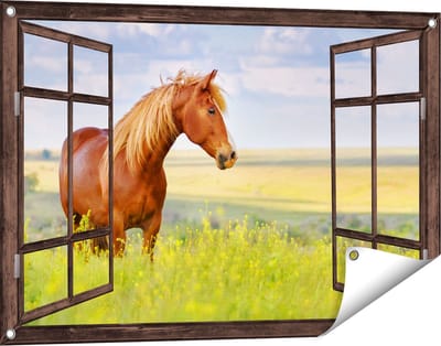 Gards Tuinposter Doorkijk Bruin Paard in de Wei - 90x60 cm - Tuindoek - Tuindecoratie - Wanddecoratie buiten - Tuinschilderij