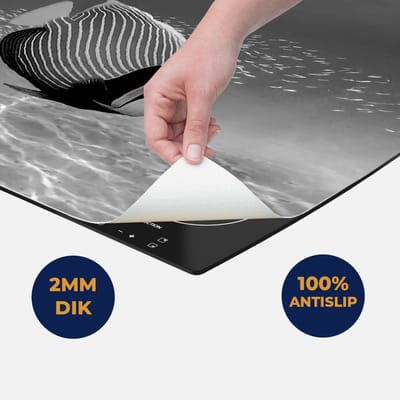 Chefcare Inductie Beschermer Twee Tropische Vissen in de Rode Zee - Zwart Wit - 60x50 cm - Afdekplaat Inductie - Kookplaat Beschermer - Inductie Mat