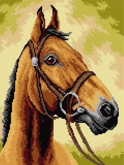 Voorbedrukt stramien - 3593 - Horse - ORCHIDEA 30 x 40 (STRAMIEN ZONDER GARENS)