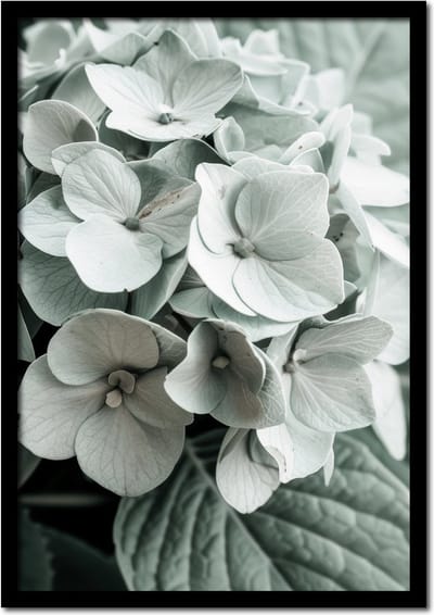 Poster close up van een hortensia bloem - 21cm x 30cm a4 - vintage - woonkamer - slaapkamer - bloemen posters - goedkoop - muurposter - natuur - wanddecoratie
