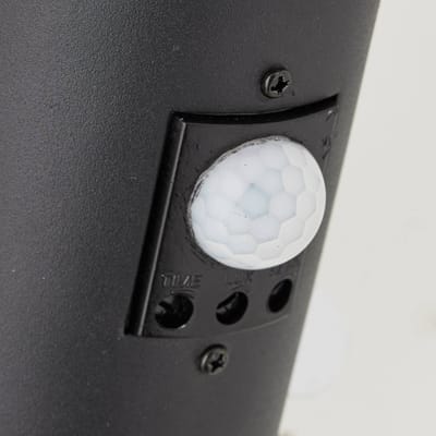 Brilliant Dody - Buitenlamp - Sensor - IP44 - E27 max 1x40W - Zwart