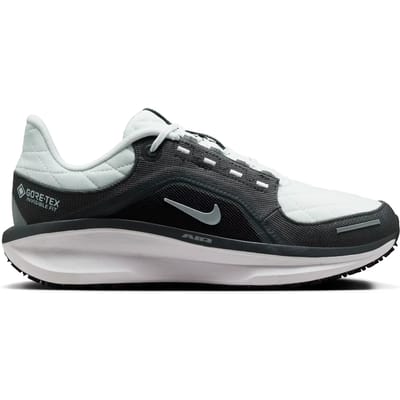 Hardloopschoenen voor dames Nike Winflo 11 Gore-Tex