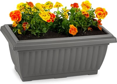 Plasticforte Plantenpot/bloempot Windsor - buiten - kunststof - antraciet - L33 x B18 x H15 cm - plantenbak - balkon/terras/tuin