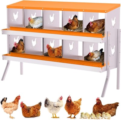 Kippenbroedkast - Broedkasten met 10 vakken - Legkasten voor kippen - 136 × 90 × 43 cm - oranje