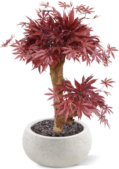 Acer Bonsai kunstboom 60cm - burgundy