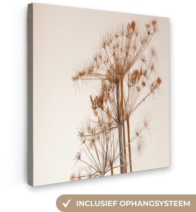 Canvas schilderij 20x20 cm - Wanddecoratie Droogbloemen - Stilleven - Wit - Planten - Bloemen - Muurdecoratie woonkamer - Slaapkamer decoratie - Kamer accessoires - Schilderijen op canvas