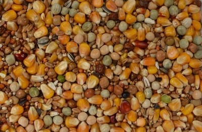 Wielink Allround Mix 25KG