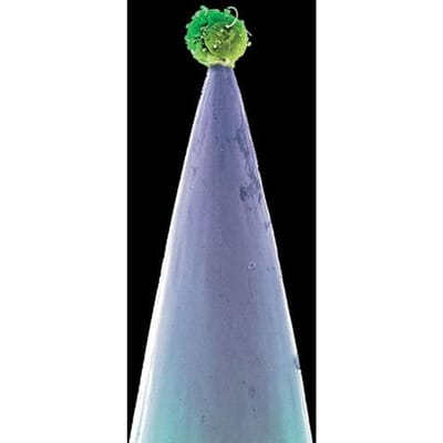CD PETER GABRIEL - New Blood  PGCDUS13 Real World Reco 2011 US Rock Gebruikt gray