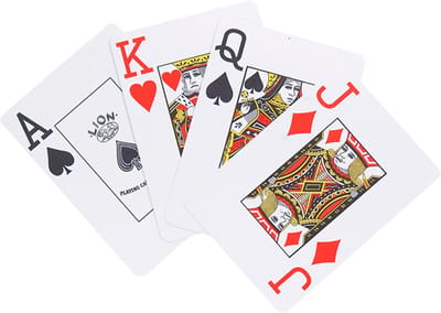 Lion Cards Speelkaarten 100% plastic enkel