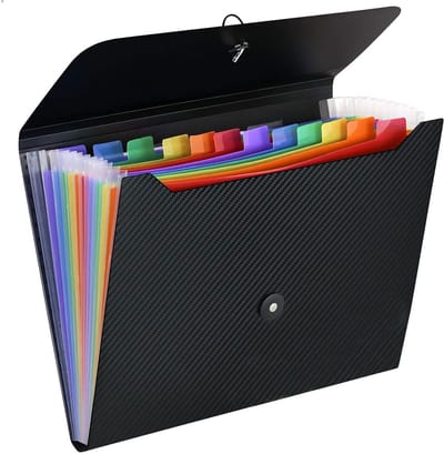 QTTVBTNA -A4 Accordemap met 13 Vakken – 1 Stuks Uitbreidbare Documentenmap, Folders, Kantoor Organizer voor Papieren, Bonnetjes en Bestanden – Ideaal voor Thuis, School en Werk