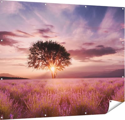 Gards Tuinposter Bloemenveld met Lavendel bij Zonsondergang - 150x120 cm - Tuindoek - Tuindecoratie - Wanddecoratie buiten - Tuinschilderij