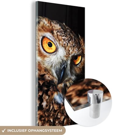 MuchoWow® Glasschilderij 20x40 cm - Schilderij acrylglas - Uil - Zwart - Geel - Foto op glas - Schilderijen