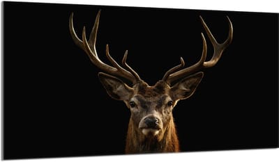 TMK ArtDeko Serie - Glazen Beschermplaat - 90x52 cm - Gehard Glas - Veelzijdig Gebruik