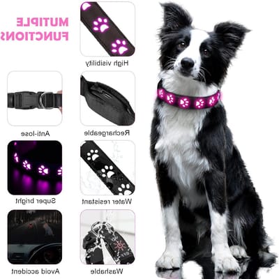 Luminous Hondenhalsband met LED Verlichting, Oplaadbaar en Waterdicht, Verstelbaar voor Kleine, Middelgrote en Grote Honden, 6 Kleuren Beschikbaar