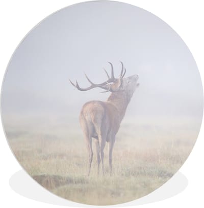 WallCircle® Wandcirkel 60x60 cm - Muurcirkel Hert - Gras - Mist - Muurdecoratie woonkamer - Wanddecoratie slaapkamer - Kamer decoratie accessoires - Ronde schilderijen