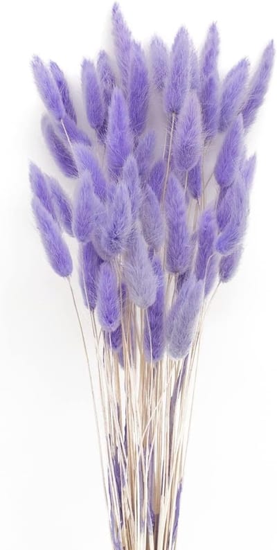 50 Sticks Gedroogde Pampas Grassen - Geurloos en Altijd Fluffy - Boho Decoratie voor Thuis en Bruiloften
