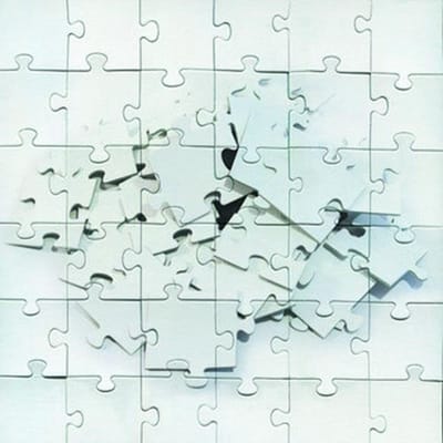 Not Scientists - Destroy To Rebuild (CD)