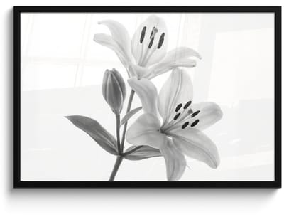 Poster in lijst - Fotolijst 90x60 cm - Posters - Lelies - Elegant - Zwart - Wit - Posterlijst zwart - Decoratie - Wanddecoratie woonkamer - Muurdecoratie slaapkamer