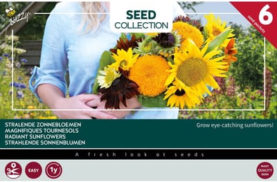 Buzzy Collection Kweekset 6 Stralende Zonnebloemen - 1 set