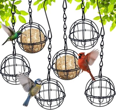 Voederschaal voor vogels - Op te hangen voederstation voor terras, balkon of tuin - Set van 6
