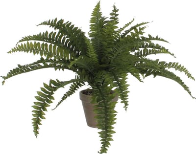 Mica Decoration Varen kunstplant - groen - 45 x 70 cm - Kamer/kantoor planten