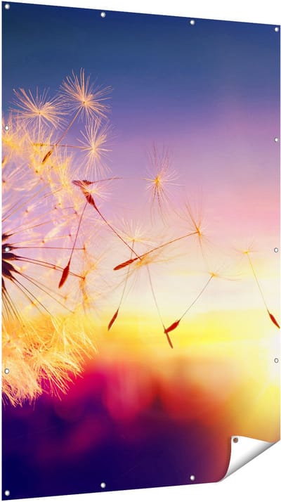 Gards Tuinposter Paardenbloem tijdens Zonsondergang - 120x180 cm - Tuindoek - Tuindecoratie - Wanddecoratie buiten - Tuinschilderij
