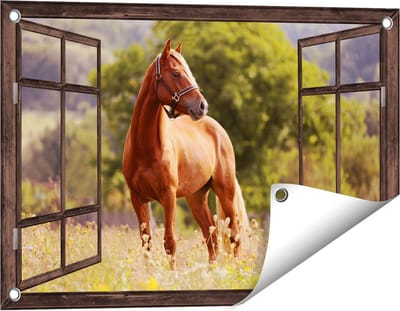 Gards Tuinposter Doorkijk Bruin Paard in de Wei - 60x40 cm - Tuindoek - Tuindecoratie - Wanddecoratie buiten - Tuinschilderij
