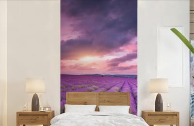 Behang - Fotobehang Lavendel - Paars - Wolken - Bloemen - Breedte 120 cm x hoogte 240 cm